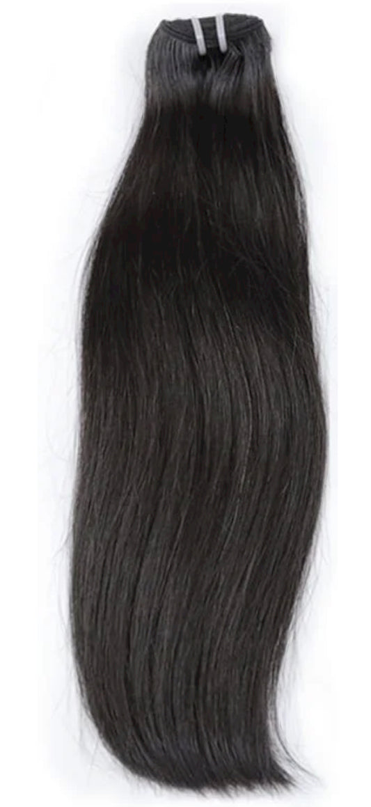 Raw Vietnamese Hair Bundle| Straight